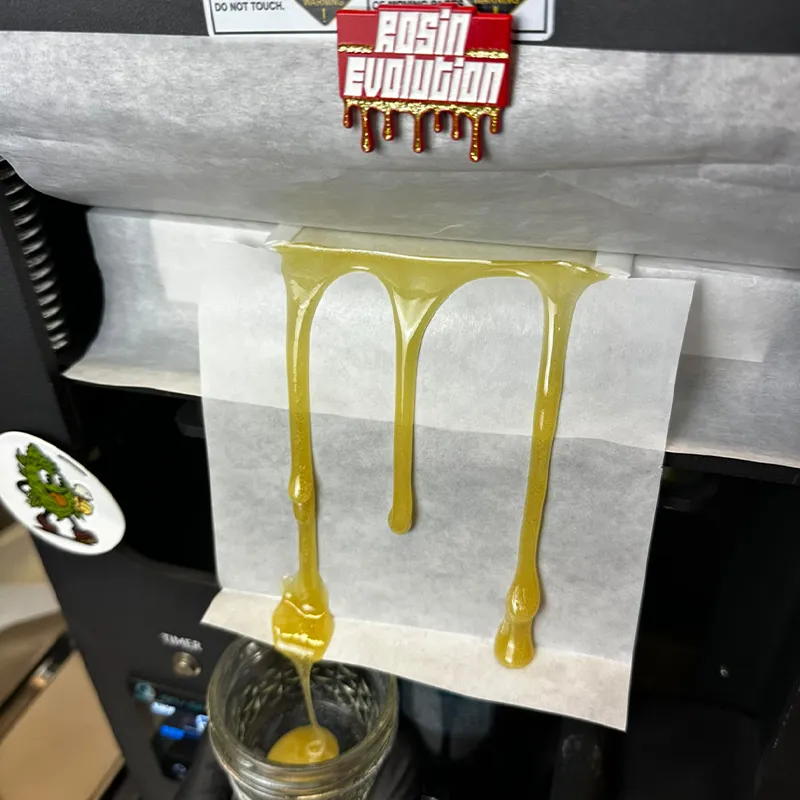 Rosin-Produktion bei der Blütenbande. CSC aus Hamburg Rosin-Produktion bei der Blütenbande. CSC aus Hamburg